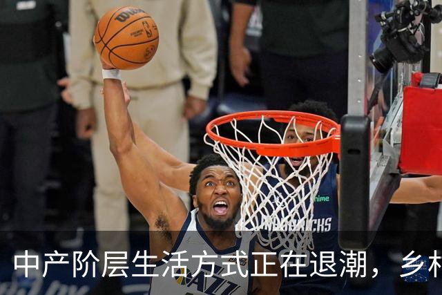 中产阶层生活方式正在退潮，乡村土味价值观正在回归