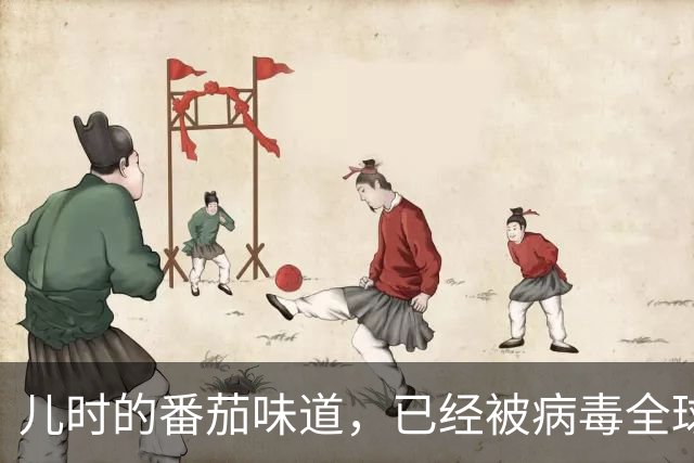 儿时的番茄味道，已经被病毒全球灭绝了20多年
