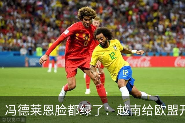 冯德莱恩脸都绿了：越南给欧盟开了开眼：这就是“中国力量”！