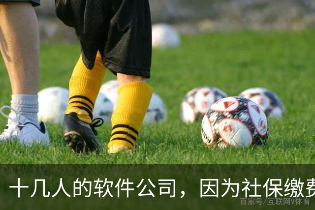 十几人的软件公司，因为社保缴费基数要调整，一年要增加50万成本