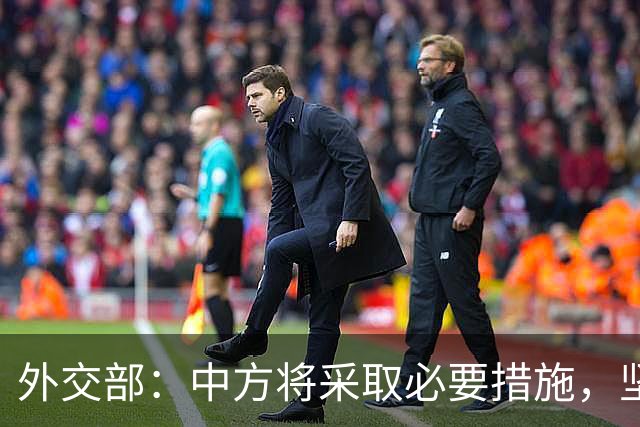 外交部：中方将采取必要措施，坚决维护中国企业合法权益