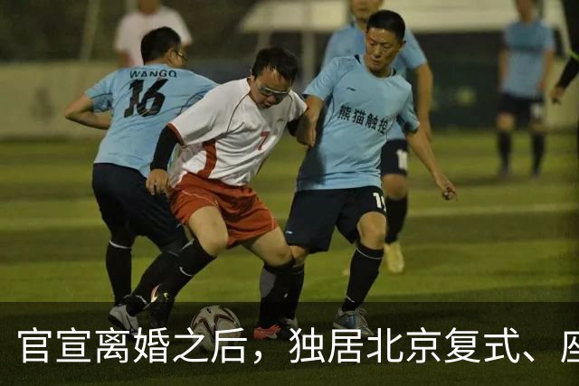 官宣离婚之后，独居北京复式、座驾奔驰大 G 的李小冉，私下日子过得有多惬意