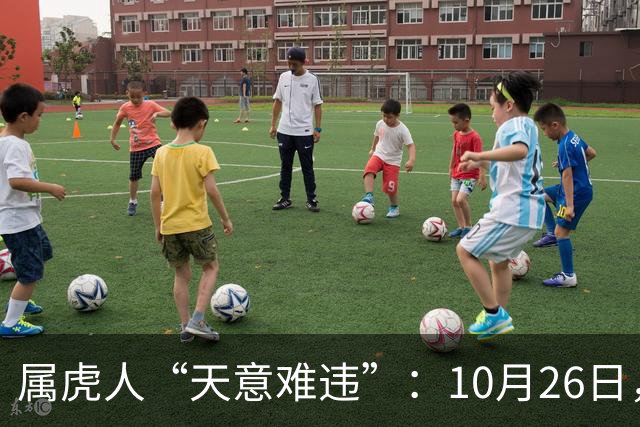 属虎人“天意难违”：10月26日，周一，有事即将要发生了
