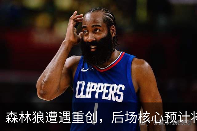 森林狼遭遇重创，后场核心预计将缺席两个月的时间？