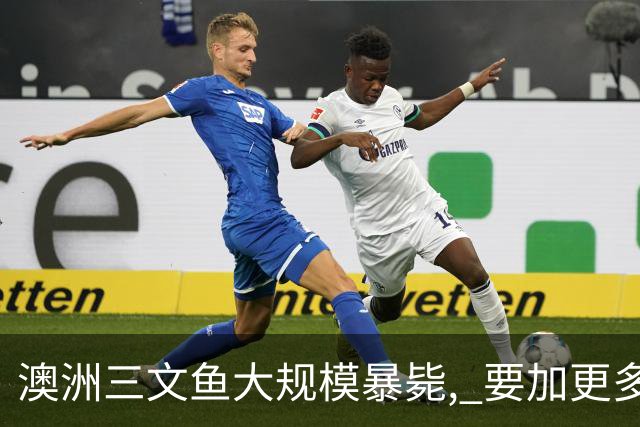 澳洲三文鱼大规模暴毙, 要加更多抗生素! 狂投5.4吨, 扩散超10公里, 鲍鱼海胆都被波及!