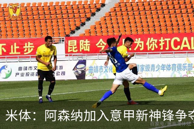 米体：阿森纳加入意甲新神锋争夺！阿尔特塔确认拉亚不会离队！