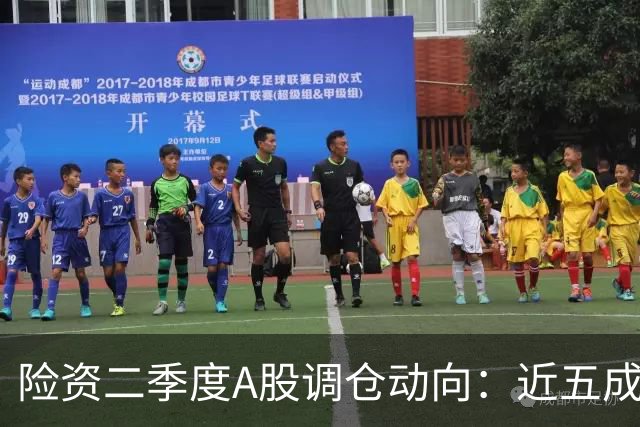 险资二季度A股调仓动向：近五成资金重仓银行股，科技板块调仓明显