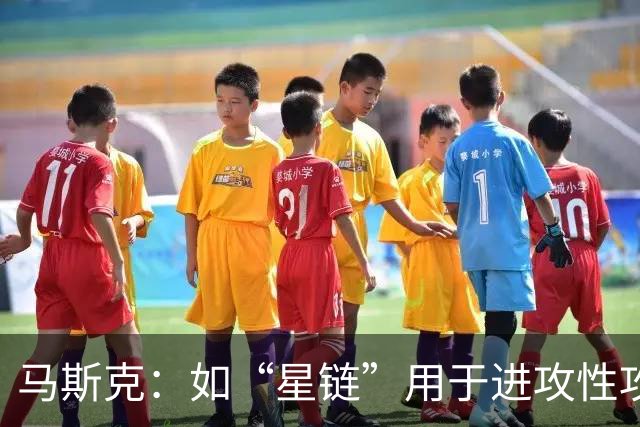 马斯克：如“星链”用于进攻性攻击，将引发毁灭性多米诺骨牌效应