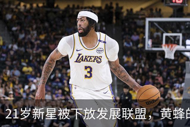 21岁新星被下放发展联盟，黄蜂的等待进入下一阶段