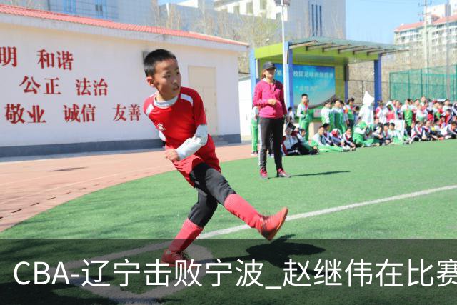 CBA-辽宁击败宁波 赵继伟在比赛中