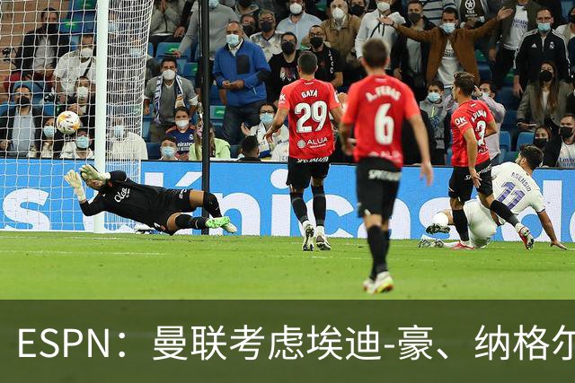 ESPN：曼联考虑埃迪-豪、纳格尔斯曼接替卡里克